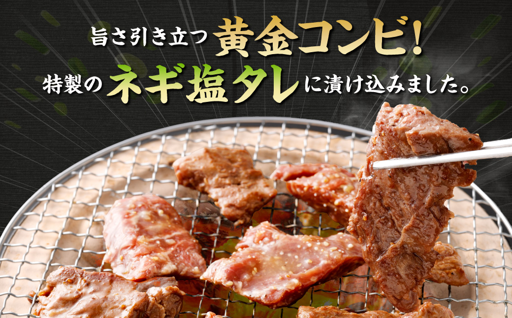 厚切り牛ハラミ焼肉（ネギ塩味） 500g 牛ハラミ ハラミ 牛はらみ はらみ 厚切り 厚切りハラミ ネギ塩 牛肉 肉 ビーフ ハラミ肉 はらみ肉 ホルモン 味付け肉 焼肉 熊本県 西原村 冷凍