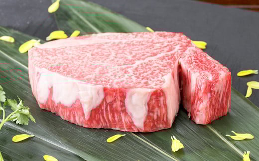 くまもと黒毛和牛 ヒレステーキ 400g（200g×2枚） 牛肉 牛 肉 黒毛和牛 和牛 お取り寄せ