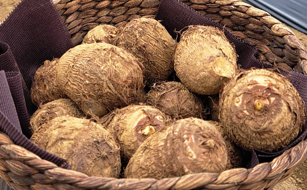 【2023年11月上旬発送開始】さといも 約3kg