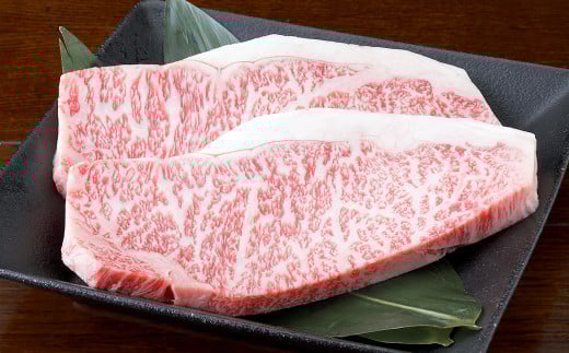 くまもと黒毛和牛 サーロインステーキ 500g（250g×2パック） 牛肉 牛 肉 黒毛和牛 和牛 お取り寄せ