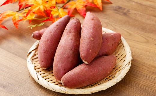 『 2024 － 2025 さつまいも博 シルクスイート 部門 グランプリ 受賞 』 恋シルク 約3kg サツマイモ さつまいも 芋 イモ 焼き芋