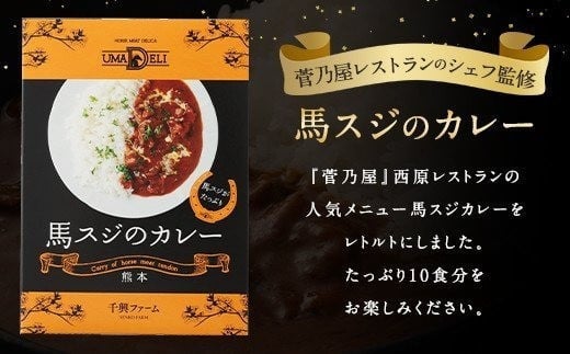 馬スジのカレー 10食セット 合計2.1kg 210g×10個 カレー レトルト 惣菜 馬すじ 馬肉
