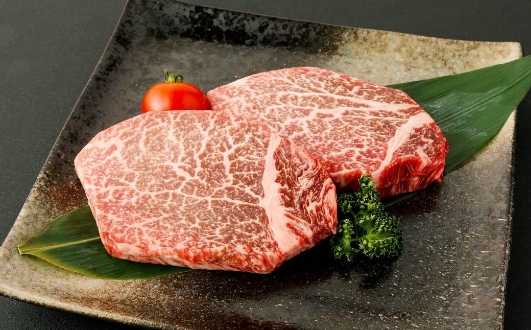 あか牛 ヒレステーキ 200g(100g×2枚) 肉 お肉 牛肉 和牛 くまもとあか牛