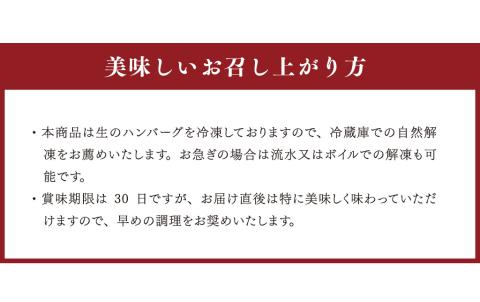 くまモンあか牛ハンバーグセット(あか牛ハンバーグ120g×6個、あか牛のたれ200ml付き)