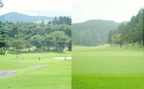 グランドチャンピオンゴルフクラブ 利用補助券 30,000円分(1,000円×30枚) ゴルフ 食事 金券 利用券 補助券