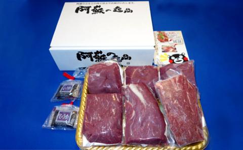 熊本 馬刺し 上赤身 詰め合わせ 約600g (約100g×6パック) 醤油付き 赤身 馬肉 馬刺 真空パック 小分け