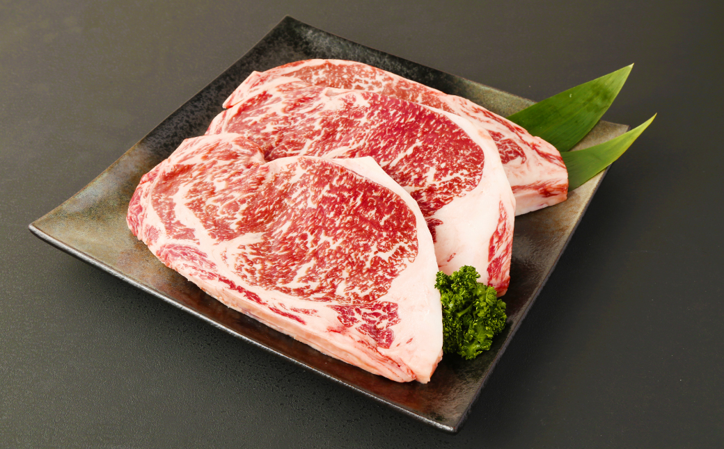 熊本県西原村産 あか牛 サーロイン 合計600g 200g×3枚 肉 お肉 牛肉 赤牛 和牛 ステーキ ステーキ肉 鉄板焼き