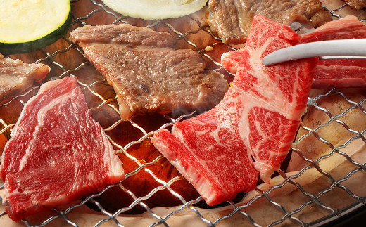 【6ヶ月定期便】あか牛焼き肉用カット（バラ、ロース） 約500g