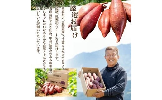 【おまかせ】 紅琥珀スイート （シルクスイート） 約3kg箱 さつまいも 芋 サツマイモ いも イモ しるくすいーと 熊本県 西原村 【2026年2月下旬まで発送予定】