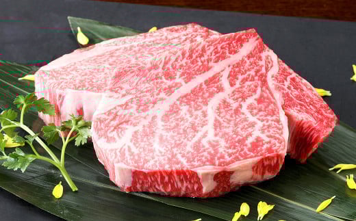 くまもと黒毛和牛 ヒレステーキ 400g（200g×2枚） 牛肉 牛 肉 黒毛和牛 和牛 お取り寄せ