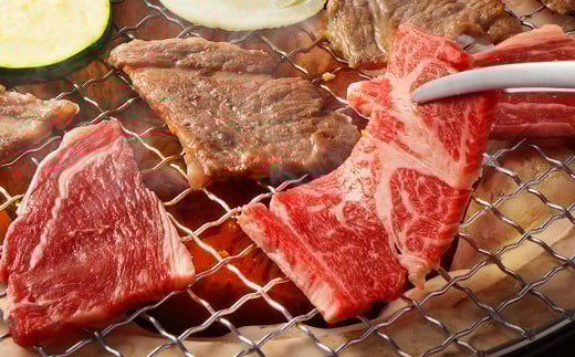 【3ヶ月定期便】あか牛焼き肉用カット（バラ、ロース） 約500g