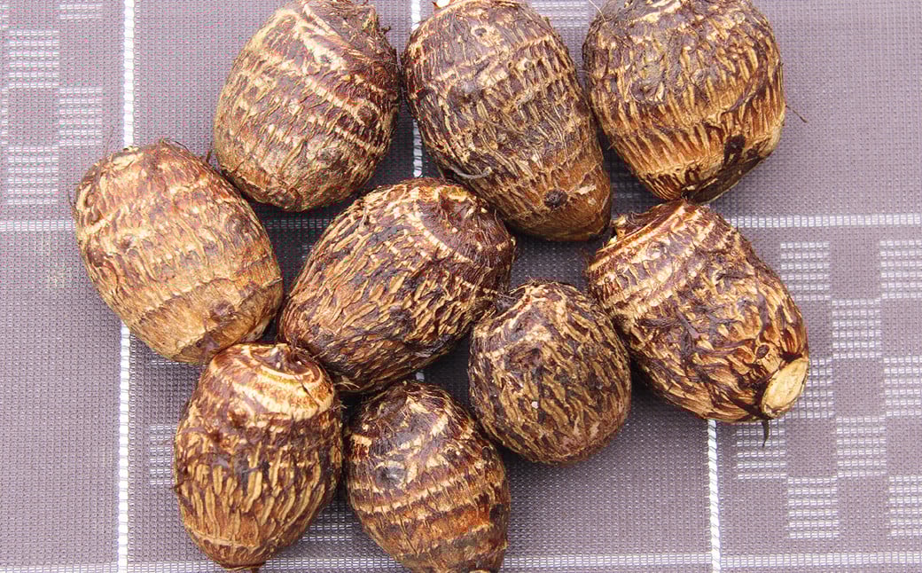 【2023年11月上旬発送開始】さといも 約3kg