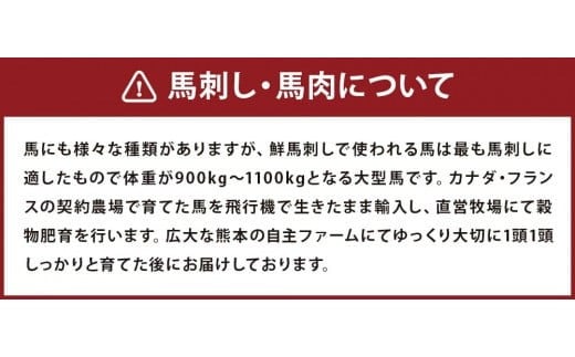 馬刺しバラエティー 6種類 合計1020g タレ付き 赤身切り落とし・コウネ・フタエゴスライス・桜うまトロ・線切り(ユッケ)・馬肉ハンバーグ