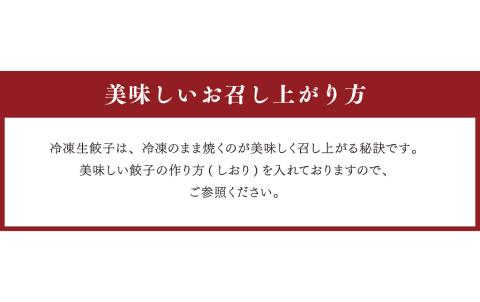 熊本和牛 あか牛 ぎょうざ セット(熊本あか牛餃子20個入り×2箱) 計40個
