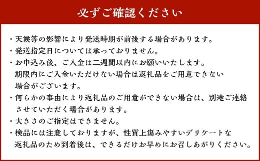 『 2024 － 2025 さつまいも博 シルクスイート 部門 グランプリ 受賞 』 恋シルク 約5kg サツマイモ さつまいも 芋 イモ 焼き芋