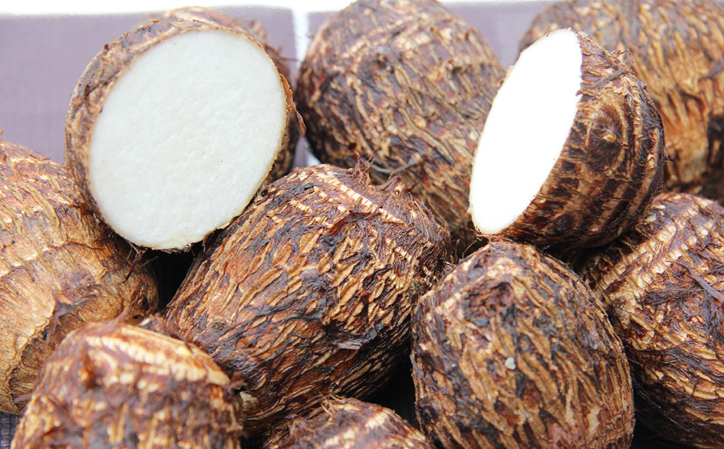 【2023年11月上旬発送開始】さといも 約3kg