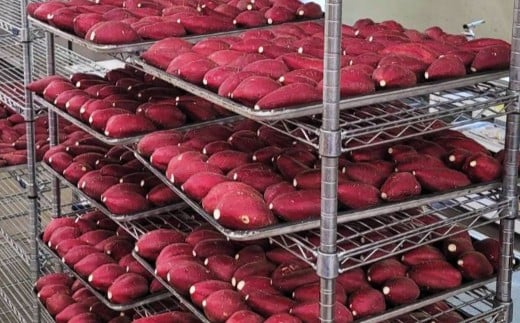 冷し焼き芋（西原シルク）Mサイズ 約300g×6パック入り（計約1.8kg） 焼き芋 やきいも 冷やし焼き芋 さつまいも サツマイモ セット 冷凍