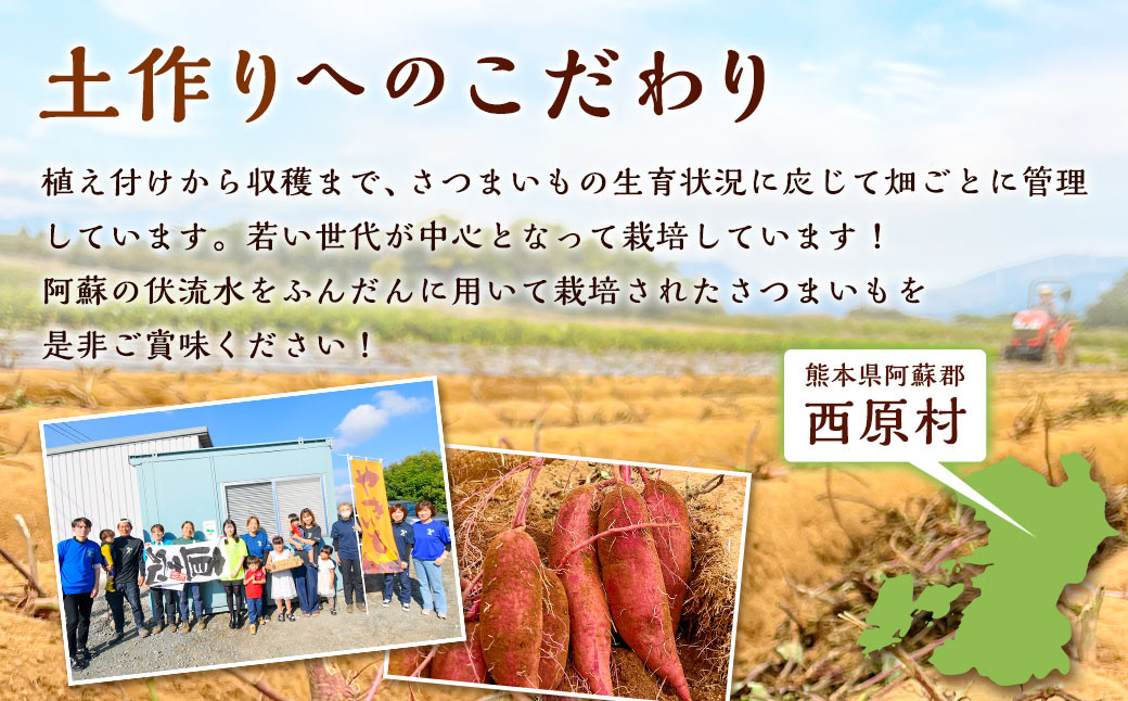 【2023年11月発送開始】熊本県西原村産 熟成蔵出し さつまいも (紅はるか) 5kg(秀品)