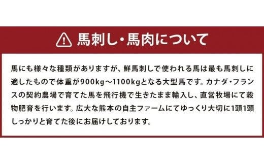 6種馬肉バラエティ 約540g (赤身切り落とし・コウネ・フタエゴダイス・線切り(ユッケ)・桜うまトロ・馬肉ハンバーグ)