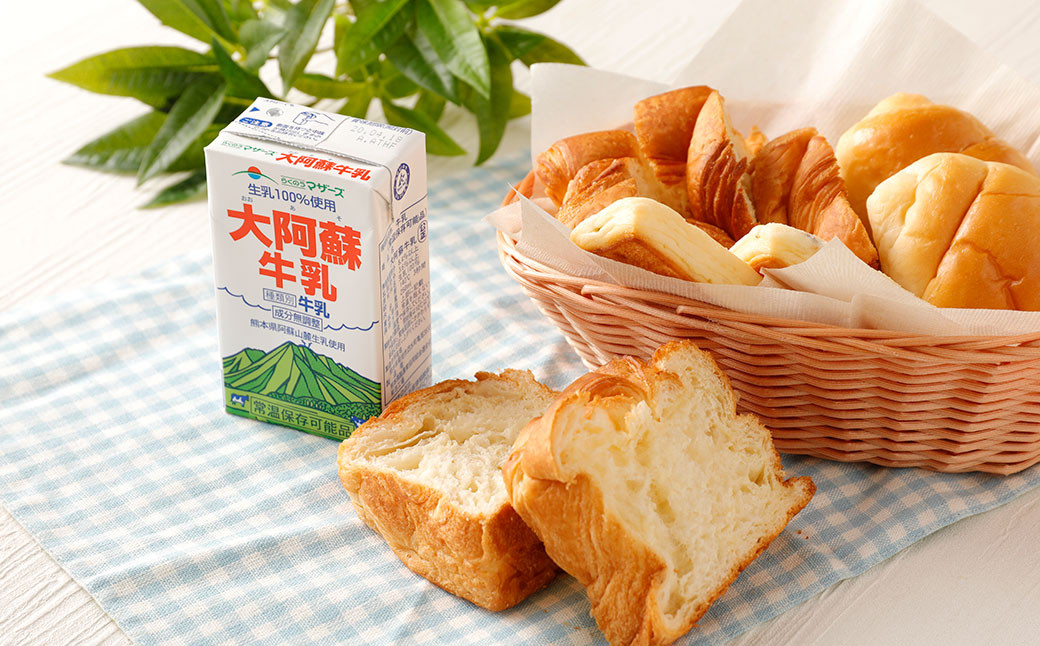 大阿蘇 牛乳 250ml 24本入 合計6L 紙パック ミルク 成分無調整