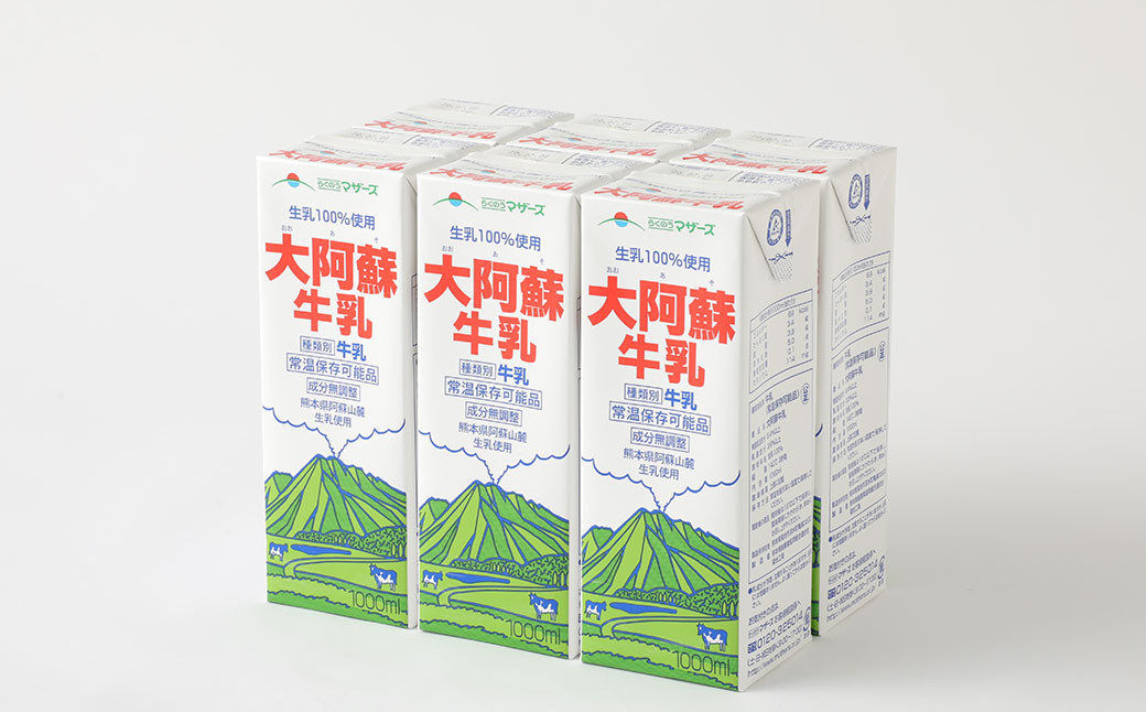 【12ヶ月定期便】大阿蘇 牛乳 1L×6本×12回 合計72L 1000ml 紙パック ミルク 成分無調整