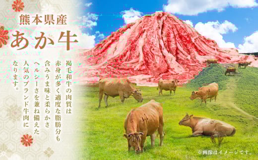 【 10回 定期便 】くまもと あか牛 切り落とし 1.2kg×10回 計12kg 肉 牛肉 和牛 ブランド牛 あか牛 赤牛 赤身 切落し 冷凍
