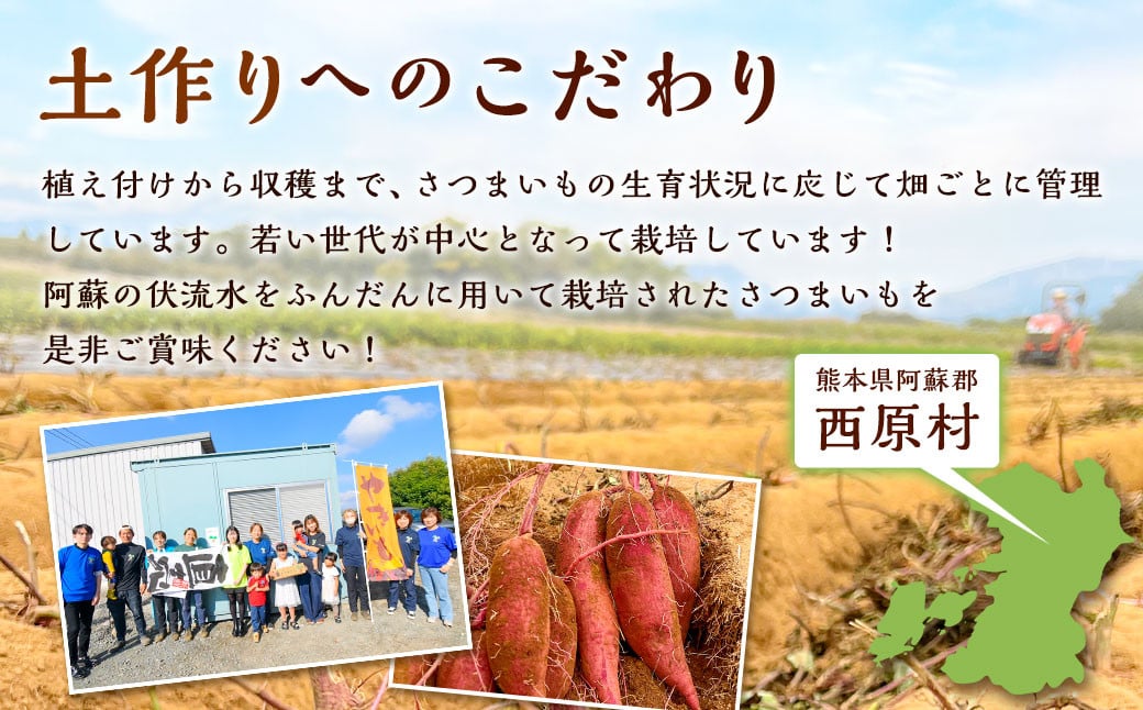 【2023年11月発送開始】【訳あり】熊本県西原村産 熟成蔵出しさつまいも (紅はるか) 5kg (大中小混合・B～C級品)