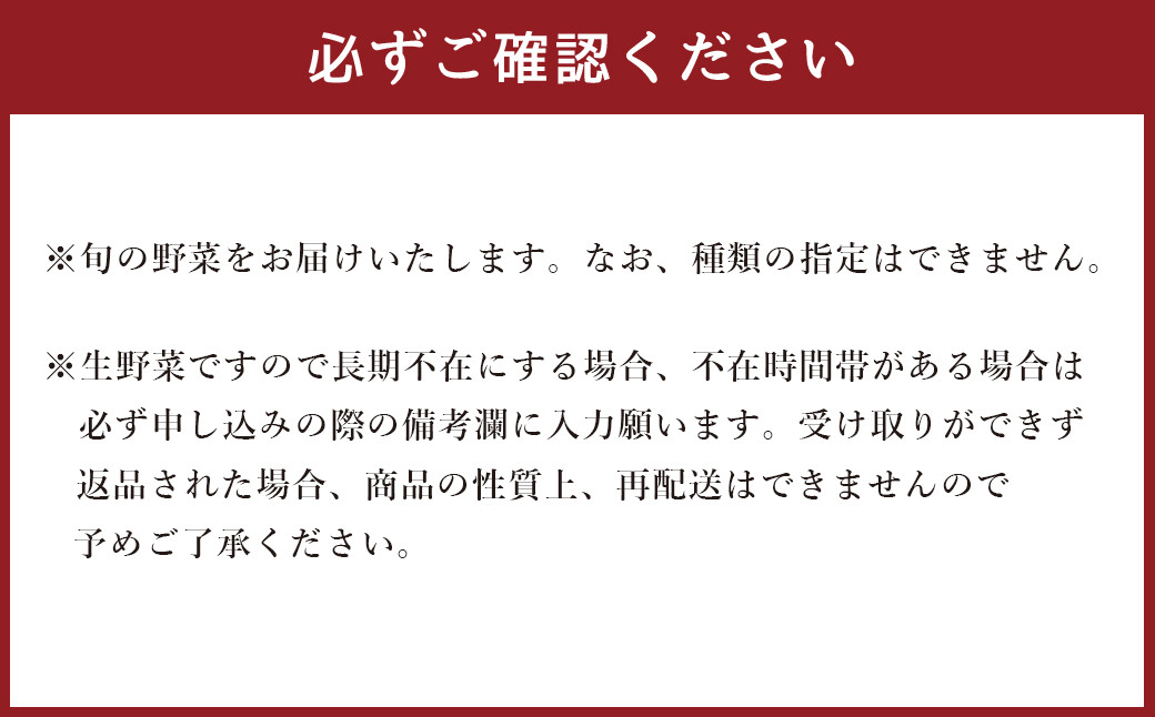 【12ヶ月定期便】生産者応援 採れたて新鮮 旬のお野菜 詰め合わせセット
