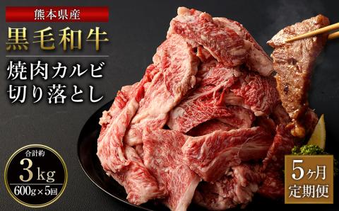 【5ヶ月定期便】熊本県産 黒毛和牛 焼肉 カルビ 切り落とし 合計3,000g 600g 300g×2パック 和牛 牛肉 肉  バーベキュー 炒め物 国産 九州産