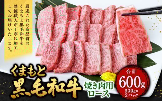 くまもと黒毛和牛 焼き肉用ロース 600g（300g×2パック） 牛肉 牛 肉 黒毛和牛 和牛 お取り寄せ 焼肉 ロース