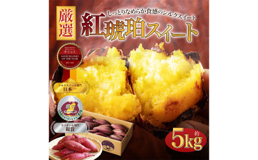 【小さめ（3S-S）】 紅琥珀スイート （シルクスイート） 約5kg 箱 さつまいも 芋 サツマイモ いも イモ しるくすいーと 熊本県 西原村 【2026年2月下旬まで発送予定】