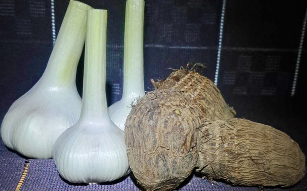 【2023年11月上旬発送開始】さといもプラス(里芋・にんにくセット)