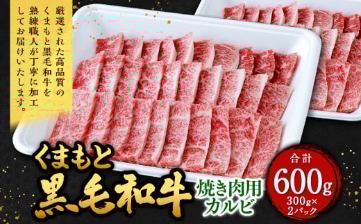くまもと黒毛和牛 焼き肉用カルビ 600g（300g×2パック） 牛肉 牛 肉 黒毛和牛 和牛 お取り寄せ 焼肉 カルビ