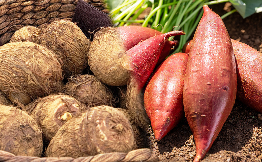 【2023年11月上旬発送開始】さといもプラス(里芋・さつまいもセット)