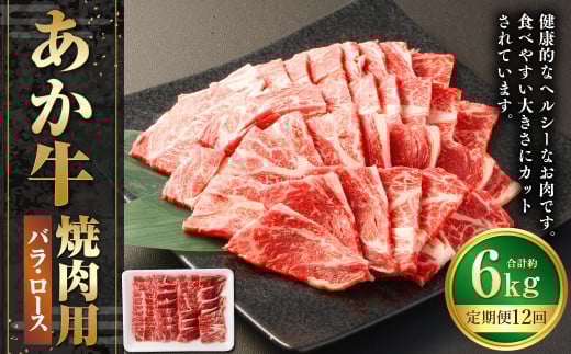 【12ヶ月定期便】あか牛焼き肉用カット（バラ、ロース） 約500g