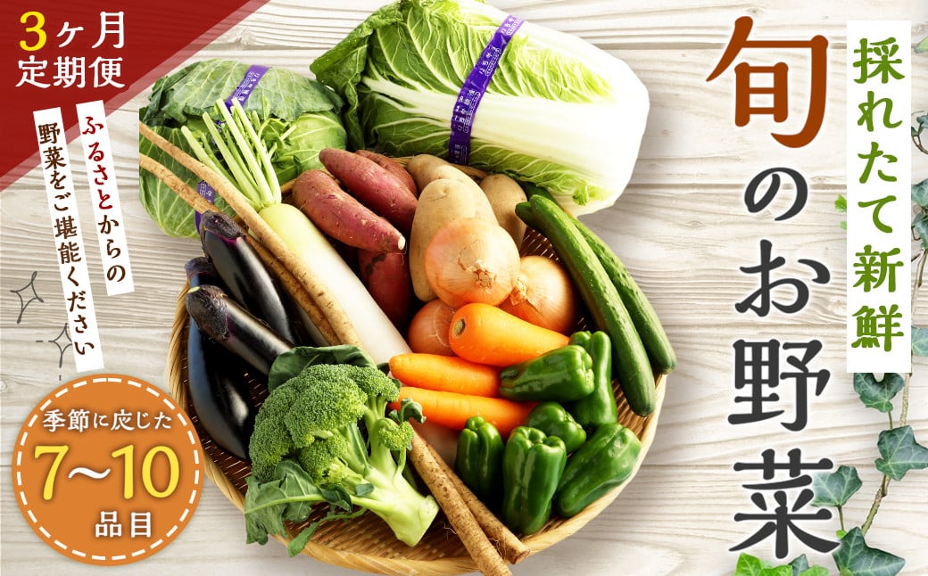 【3ヶ月定期便】生産者応援 採れたて新鮮 旬のお野菜 詰め合わせセット