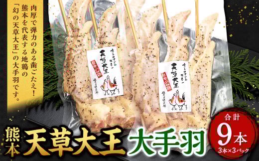 熊本 天草大王 大手羽 9本 （3本×3パック）鶏 鶏肉 地鶏 手羽 バーベキュー キャンプ