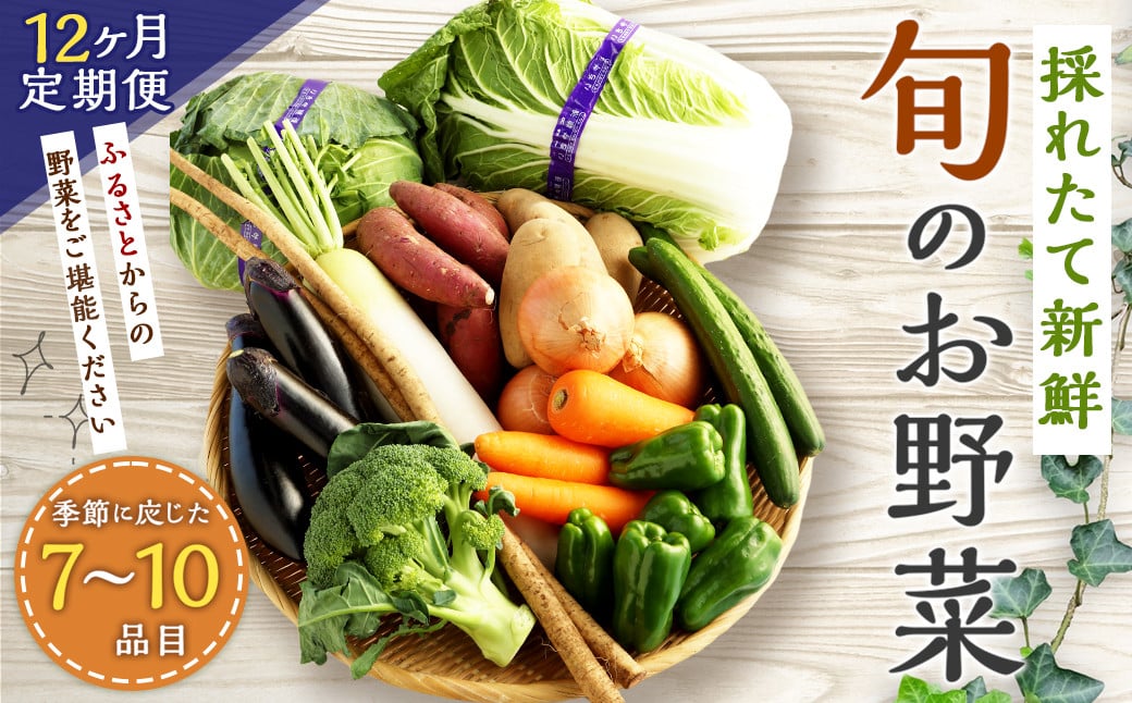 【12ヶ月定期便】生産者応援 採れたて新鮮 旬のお野菜 詰め合わせセット