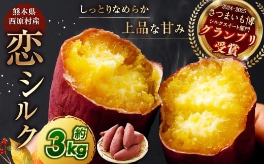 『 2024 － 2025 さつまいも博 シルクスイート 部門 グランプリ 受賞 』 恋シルク 約3kg サツマイモ さつまいも 芋 イモ 焼き芋