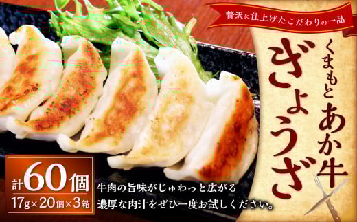 熊本和牛あか牛ぎょうざ60個 あか牛ぎょうざ20個入り×3箱 和牛 あか牛 冷凍 生餃子 ぎょうざ おかず 総菜