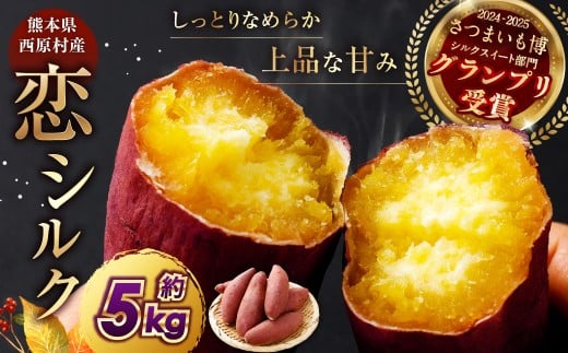 『 2024 － 2025 さつまいも博 シルクスイート 部門 グランプリ 受賞 』 恋シルク 約5kg サツマイモ さつまいも 芋 イモ 焼き芋