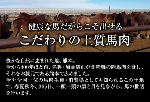 大トロ馬刺し(50g)中トロ(霜降り)馬刺し(50g)食べ比べコース【純国産熊本肥育】《30日以内に出荷予定(土日祝除く)》---mna_fjs08_30d_r7_10000---