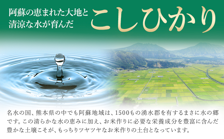 新米 令和7年産 【9ヶ月定期便】 こしひかり 10kg 無洗米 熊本県産(南阿蘇村産含む) 単一原料米 南阿蘇村 産 米 定期便《お申込月の翌月から出荷開始》---kh7tei_220500_10kg_mo9_mna_m---