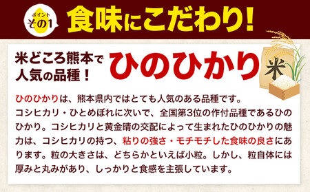 新米 令和7年産 【6ヶ月定期便】 無洗米 ひのひかり 20kg 5kg×4袋《お申し込みの翌月から出荷》熊本県産 単一原料米 南阿蘇村 ひのひかり 送料無料 熊本県 米 コメ こめ 国産---hn7tei_291000_20kg_mo6_mna_m---