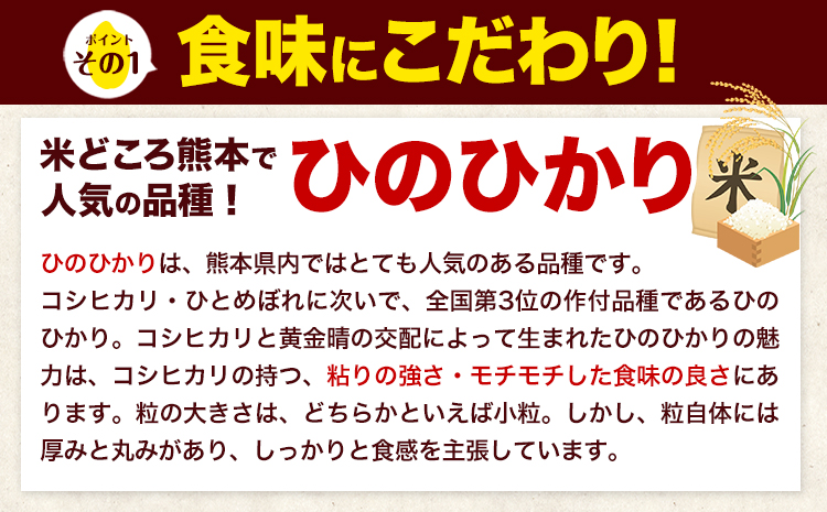 新米 令和7年産 ひのひかり 無洗米 5kg 《12月中旬-2月末頃出荷》 無洗米 精米 熊本県産(南阿蘇村産含む) 単一原料米 南阿蘇村---mna_hn7_bc122_13500_5kg_m---