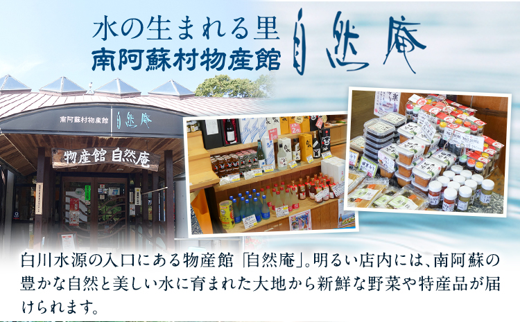 【3ヶ月定期便】日本名水百選ミネラルウォーター「南阿蘇・白川水源」定期便3ヶ月 2L×6本入2ケース《申込み翌月から発送》熊本県 南阿蘇村 物産館自然庵 水 ミネラルウォーター---sms_szmwtei_r7_34000_24p_mo3---