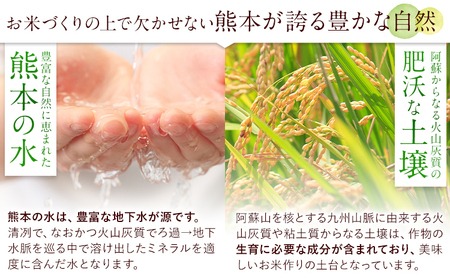 【12ヶ月定期便】阿蘇びより 白米 5kg (5kg×1袋)《お申し込みの翌月から出荷》｜国産米 人気米 熊本県産米 お米 生活応援米---mna_abytei_5kg_138000_mo12_h---