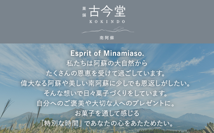 濃厚生チーズケーキ 1592 ヒゴクニ 6個入り 古今堂 《30日以内に出荷予定(土日祝除く)》 熊本県 南阿蘇村 チーズケーキ チーズ ひごくに お菓子 スイーツ---sms_kkinczk_30d_r7_7500_6i---
