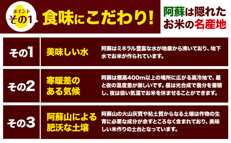【12ヶ月定期便】新米 令和7年産 定期便 こしひかり 無洗米 定期便 5kg 精米 熊本県産(南阿蘇村産含む) 単一原料米 南阿蘇村《お申し込みの翌月から出荷》---kh7tei_150000_5kg_mo12_mna_m---