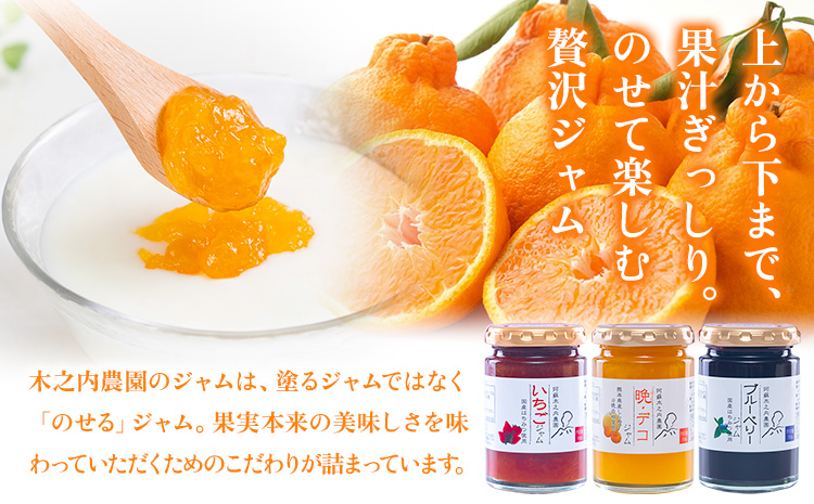 木之内農園の手作りジャム　3種食べ比べセット 150g×3本 《30日以内に出荷予定(土日祝を除く)》 熊本県南阿蘇村 ジャム いちご ブルーベリー 晩白柚 不知火 デコ 苺 大粒 乗せるジャム---isms_kinojibd_30d_r7_8500_3p---